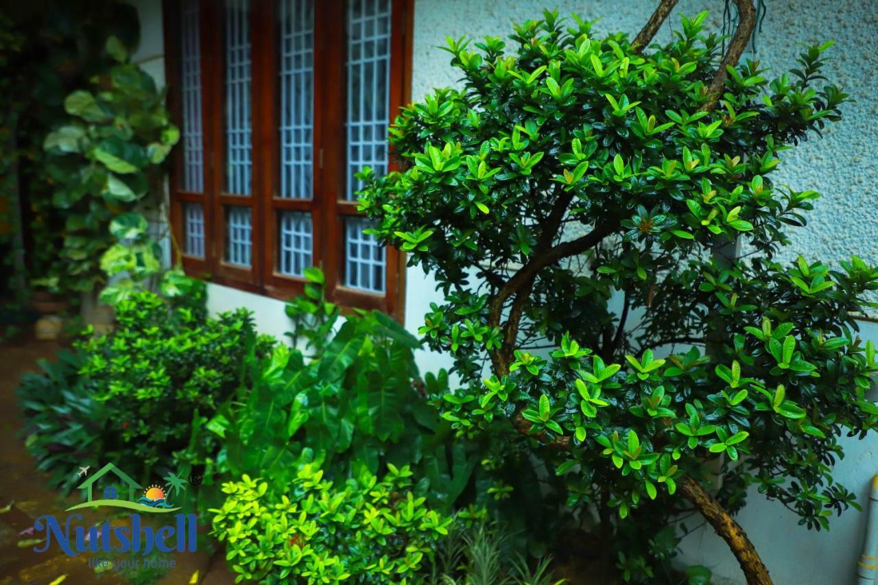 Ferienwohnung Nutshell-Airport Retreat By The Sea Thiruvananthapuram Exterior foto